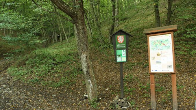 Přírodní rezervace Karlické údolí.