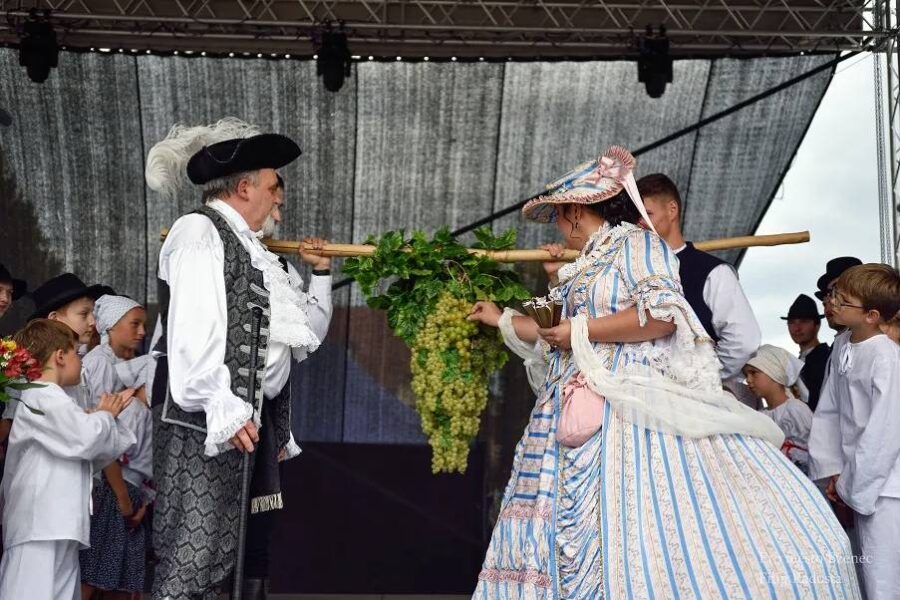 Bzenecké krojované vinobraní. Foto: Filip Radosta. Zdroj: Město Bzenec