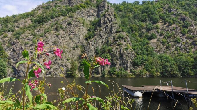 Naučná stezka svatojánské proudy