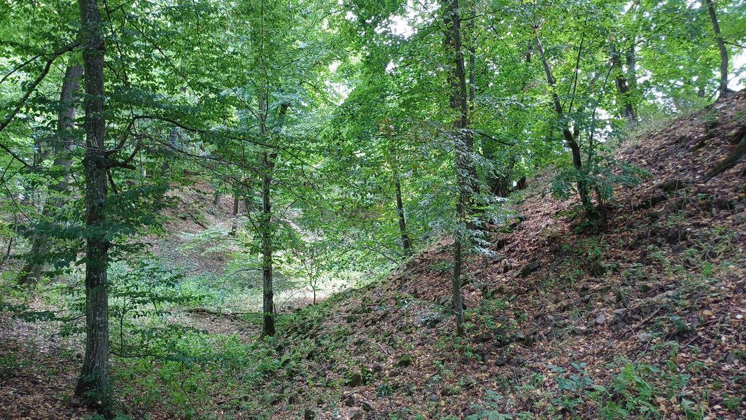 Valy a příkopy u hradu Bukovina. Foto: Anna Petruželková