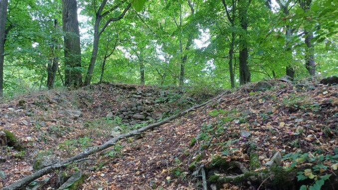 Pozůstatky hradu Bukovina. Foto: Anna Petruželková