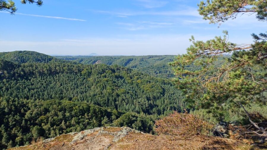 Skalní vyhlídka nad Pustým zámkem na Kokořínsku. Foto: Anna Petruželková