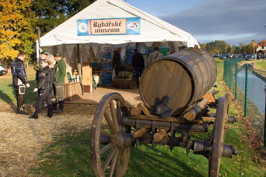 Výlov rybníka Rožmberk. Zdroj: Rybářství Třeboň