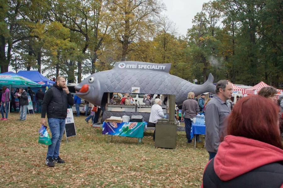 Výlov rybníka Rožmberk. Zdroj: Rybářství Třeboň
