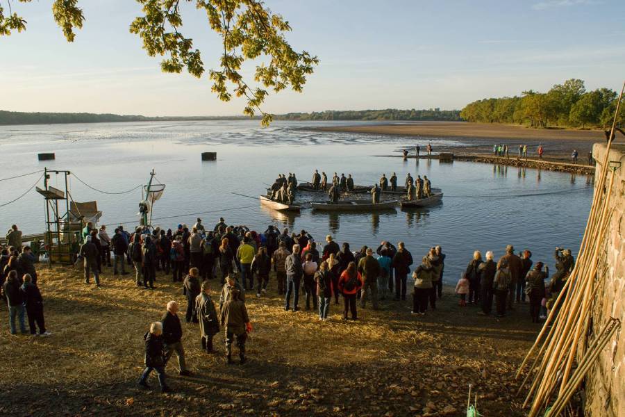 Výlov rybníka Rožmberk. Zdroj: Rybářství Třeboň