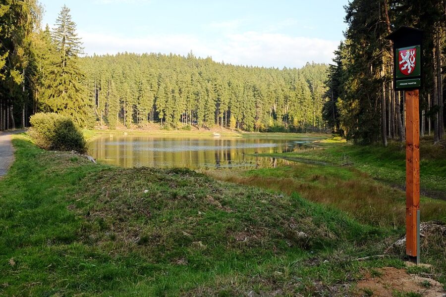 Přírodní památka Na Vážkách. Autor: Lubor Ferenc. Zdroj: Creative Commons