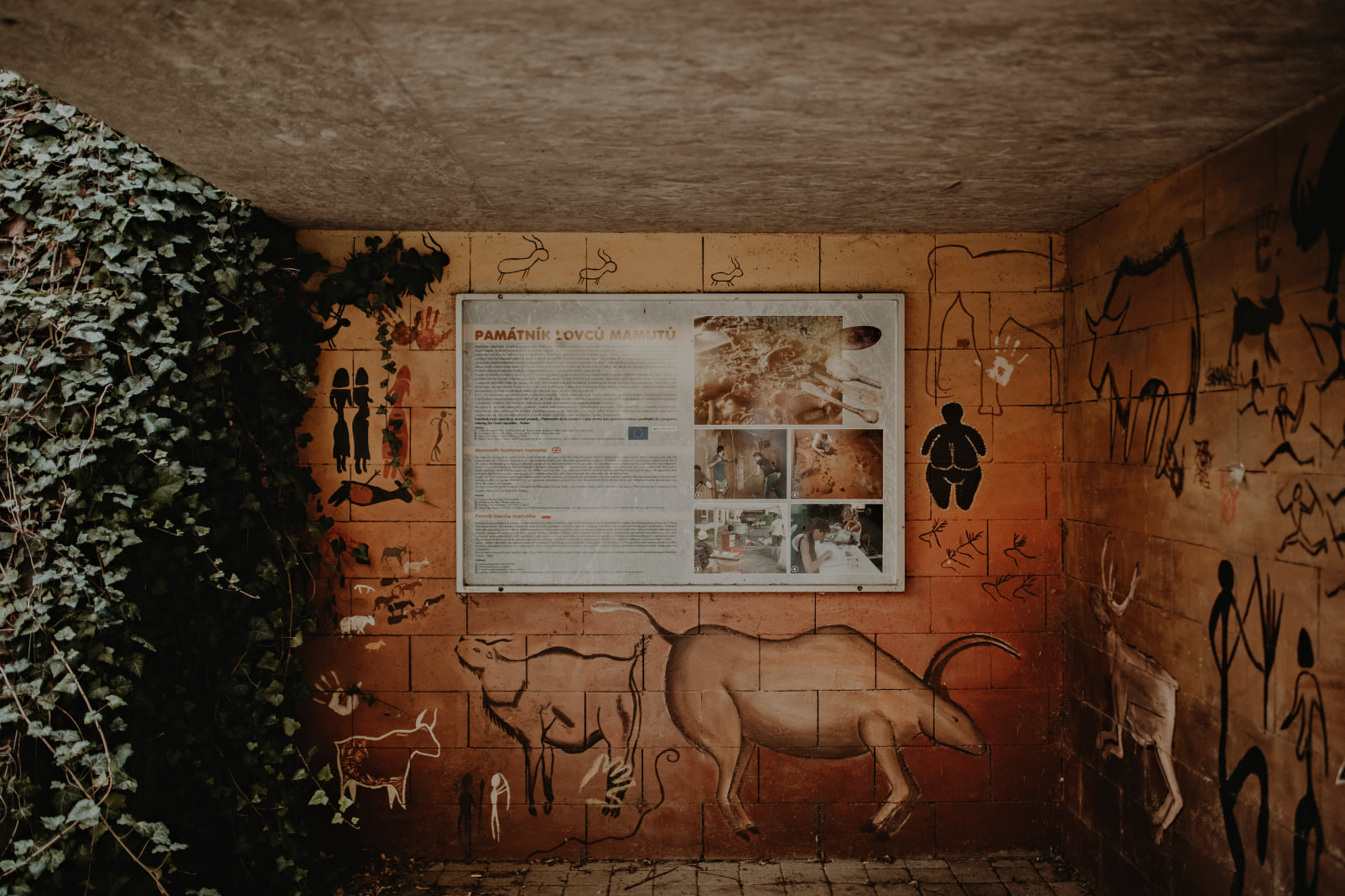 NS Předmostím až do pravěku