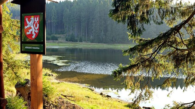 Přírodní památka Na Vážkách. Autor: Lubor Ferenc. Zdroj: Creative Commons