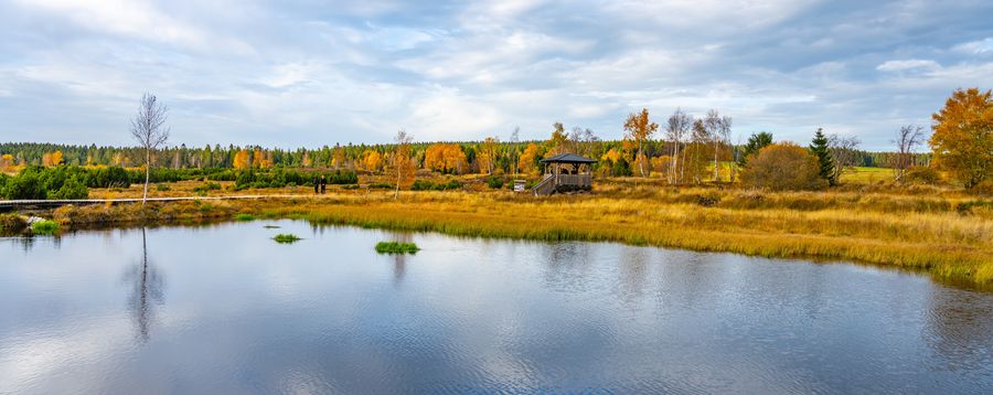 Rašeliniště u obce Pernink v Krušných horách. Zdroj: Shutterstock.com/2514207207/Pyty