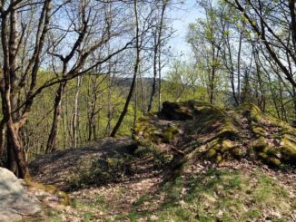 Zaniklý hrad Kraslice – jižní skalnatá část vrcholu Hradiště (Hausberg). Foto: Petr Fabian. Zdroj: Hrady-zříceniny.cz