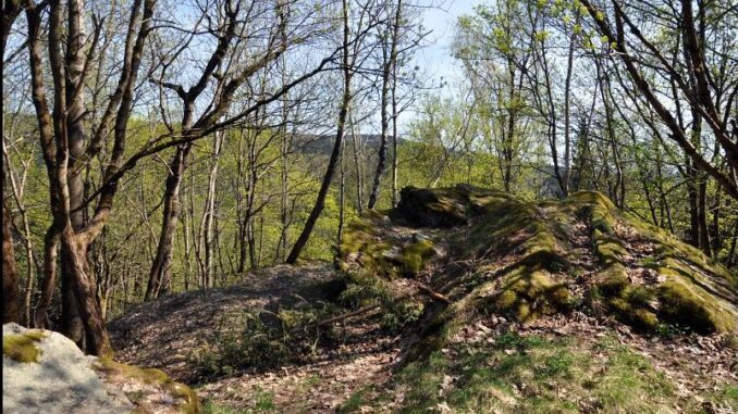 Zaniklý hrad Kraslice – jižní skalnatá část vrcholu Hradiště (Hausberg). Foto: Petr Fabian. Zdroj: Hrady-zříceniny.cz