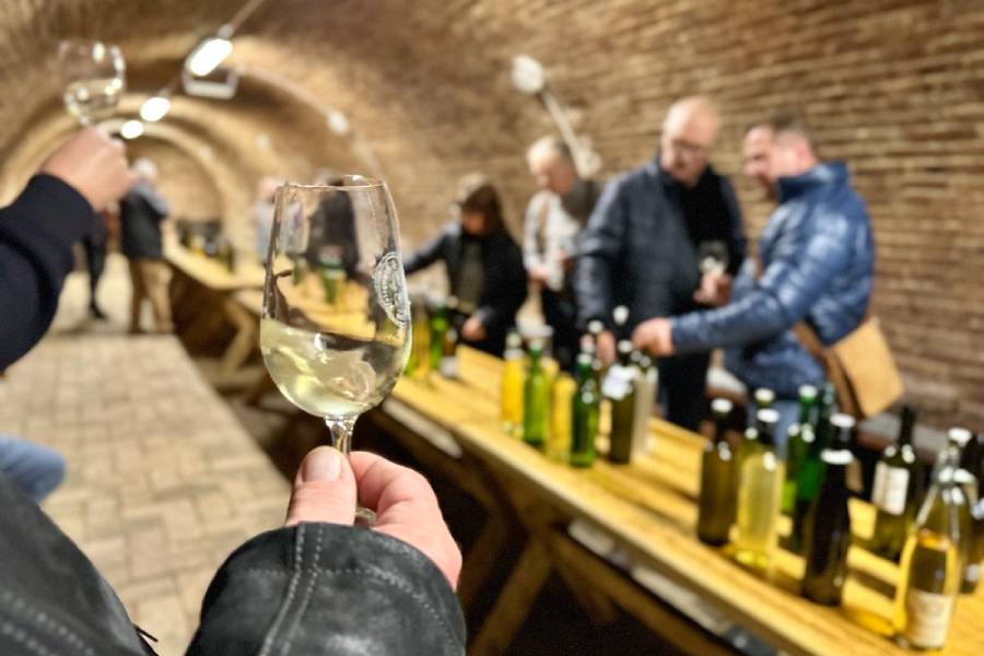 Žehnání mladého vína v Hustopečích. Zdroj: @vinarskecentrum.cz