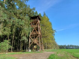 Rozhledna Radětice v Jihočeském kraji. Foto: Anna Petruželková