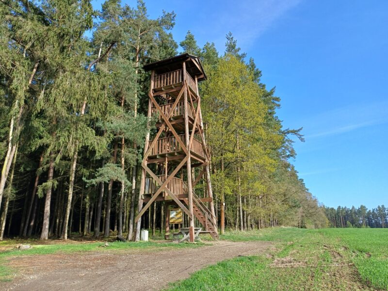 Rozhledna Radětice v Jihočeském kraji. Foto: Anna Petruželková