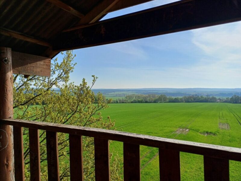 Výhled z jihočeské rozhledny Radětice. Foto: Anna Petruželková