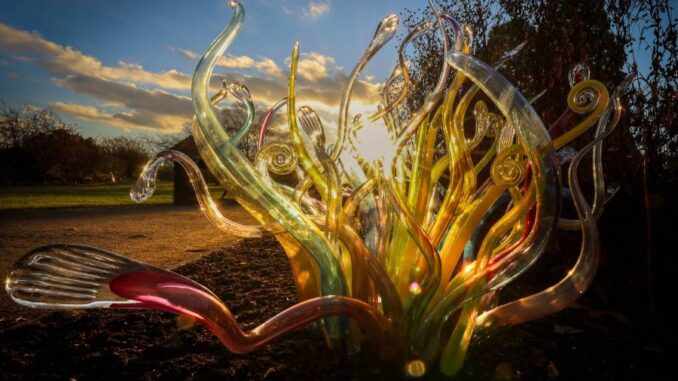 Desítky skleněných instalací rozzáří botanickou zahradu a přenesou návštěvníky do kouzelného světa Křišťálové zahrady. Zdroj: Botanická zahrada Praha