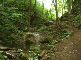 Bubovické vodopády. Zdroj: wikimedia commons/autor cs:ŠJů, licence CC BY-SA 3.0