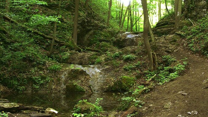 Bubovické vodopády. Zdroj: wikimedia commons/autor cs:ŠJů, licence CC BY-SA 3.0