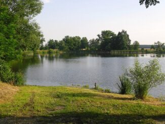 Drahotínský rybník.