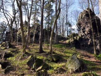 Zřícenina hradu Homberk u Příkosic v okrese Rokycany. Foto: Petr Fabian. Zdroj: Hrady-zříceniny.cz