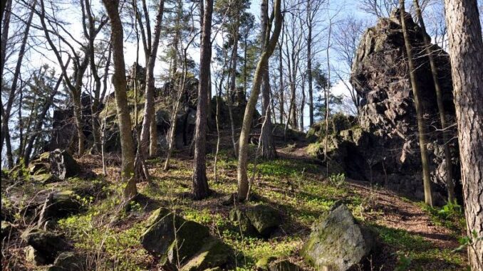 Zřícenina hradu Homberk u Příkosic v okrese Rokycany. Foto: Petr Fabian. Zdroj: Hrady-zříceniny.cz