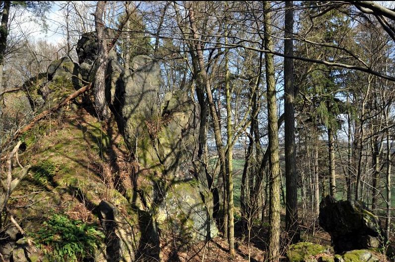 Zřícenina hradu Homberk u Příkosic v okrese Rokycany. Foto: Petr Fabian. Zdroj: <a href="http://www.hrady-zriceniny.cz">Hrady-zříceniny.cz</a>