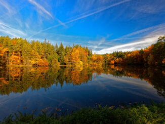 Národní přírodní rezervace Voděradské bučiny. Zdroj: Shutterstock.com/1937425285/Michal Kostka