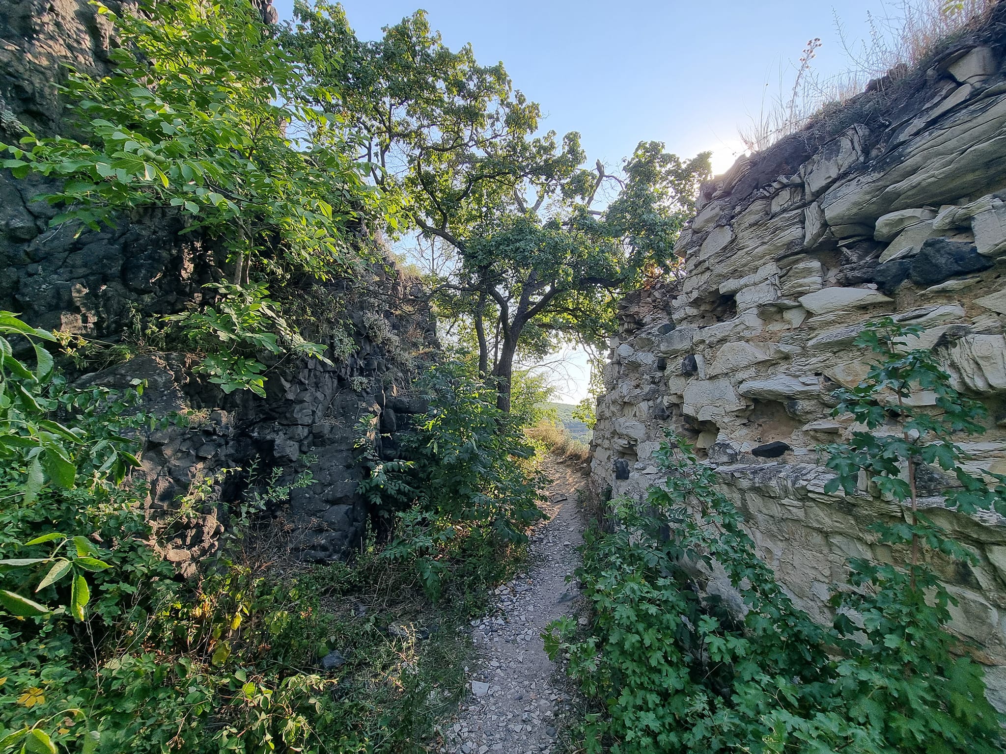 Zřícenina hradu Kamýk. Foto: Eva Audiová