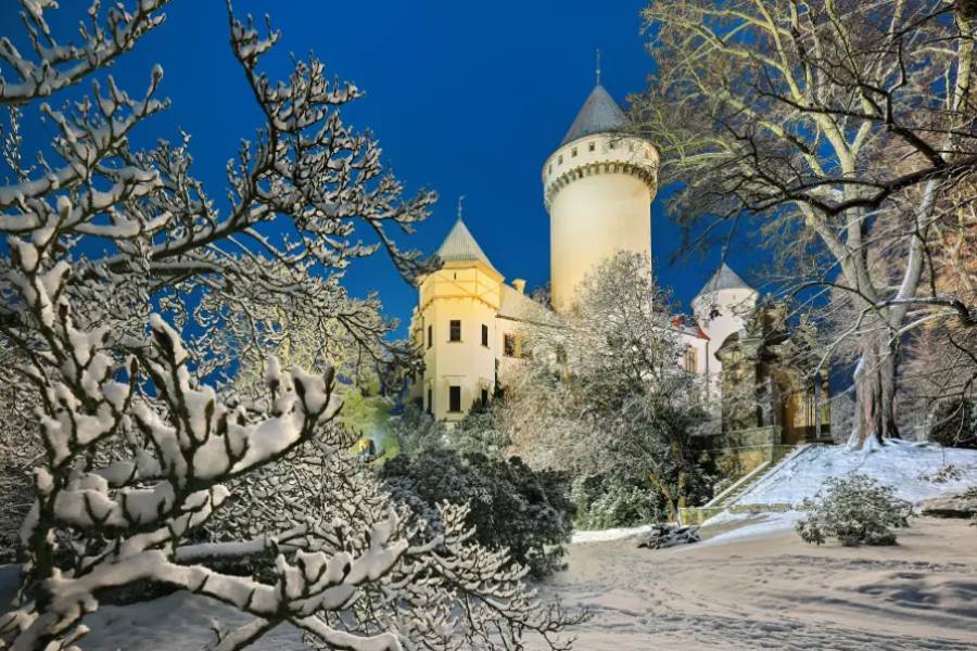 Vánoce v dobách Belle Époque na zámku Konopiště. Zdroj: Národní památkový ústav