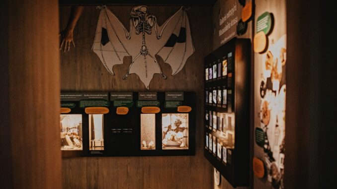 Dům přírody Moravského krasu