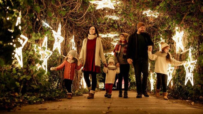 Česko o adventu zaplaví vánoční světýlka. Zdroj: DECOLED s.r.o.