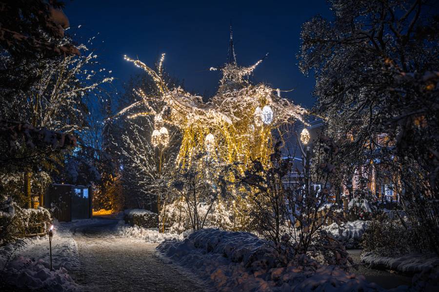 Vánoční zoo. Zdroj: Safari Park Dvůr Králové