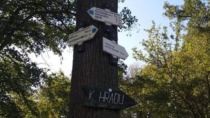 Jakou cestou se vydáte? Foto Eva Audiová 