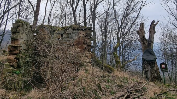 Vitín. Foto: Eva Audiová 