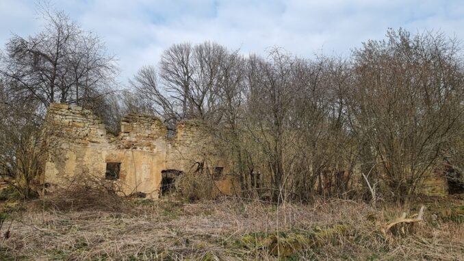 Vitín. Foto: Eva Audiová 