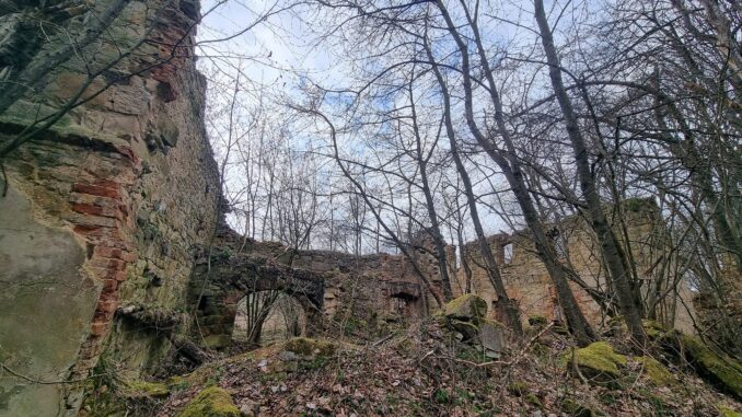 Vitín. Foto: Eva Audiová