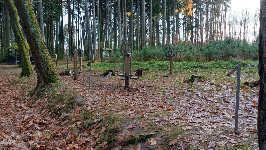 Lesní fitness v lesoparku Pintovka v Táboře. Foto: Anna Petruželková