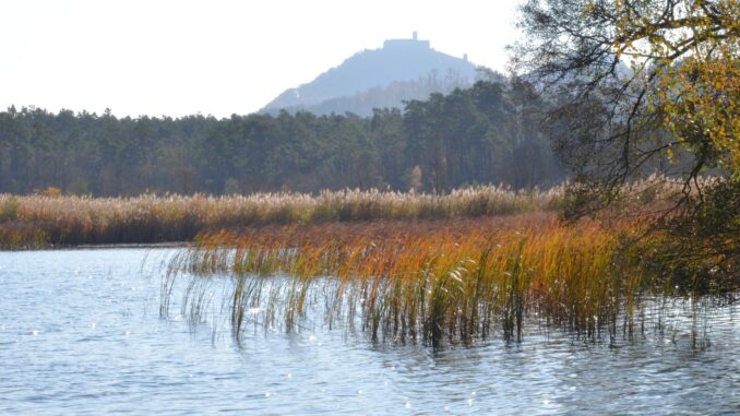 Břehyňský rybník. Foto: Wenceslaus Opletal 