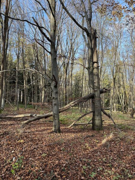 Národní přírodní památka Chejlava.