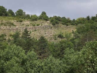 Národní přírodní památka Klonk