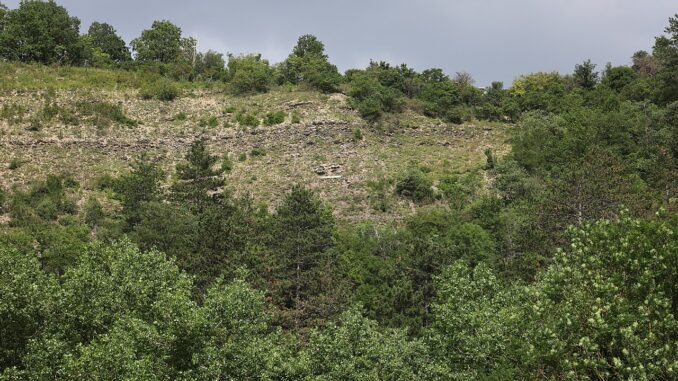 Národní přírodní památka Klonk