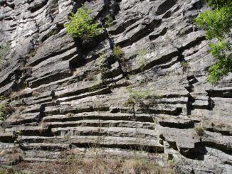 Skalní stěna Pustého zámku. Autor: Rolf-Dresden. Wikipedie CC BY 2.5