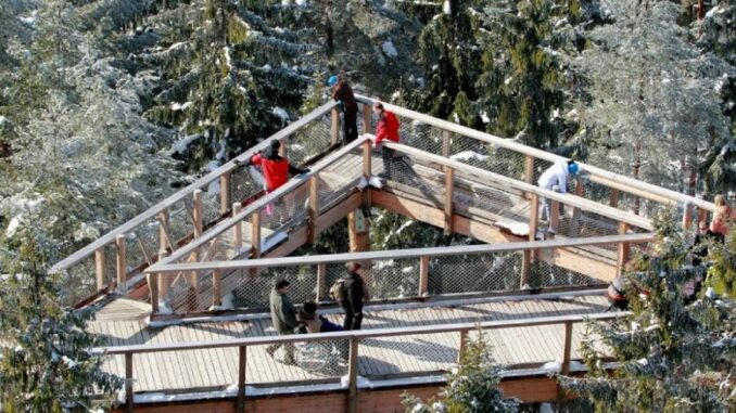 Nový rok, nové perspektivy – a nejlépe z nadhledu. Zdroj: Stezka korunami stromů Lipno
