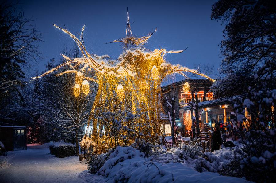 Vánoční zoo. Zdroj: Safari park Dvůr Králové