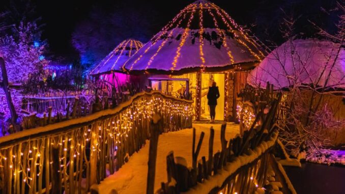 Vánočně nasvícená zoo. Zdroj: Jihočeská zoologická zahrada Hluboká nad Vltavou