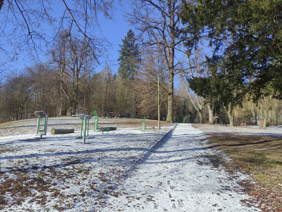 Přírodní památka Lysická obora. Foto: Lucie Růžičková