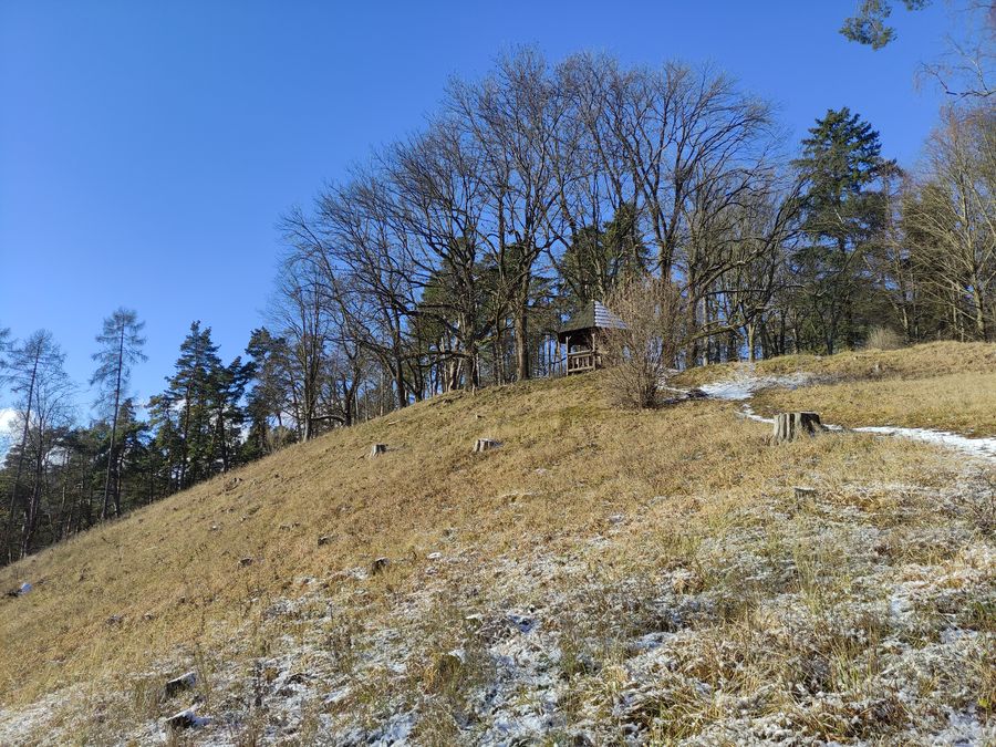 Přírodní památka Lysická obora. Foto: Lucie Růžičková