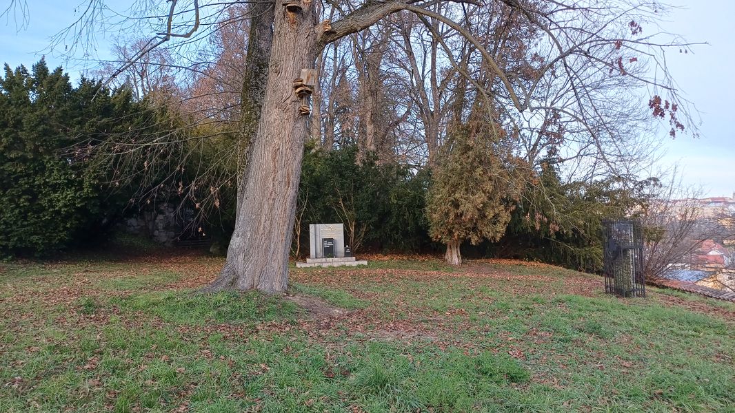 Starý židovský hřbitov v Táboře. Foto: Anna Petruželková