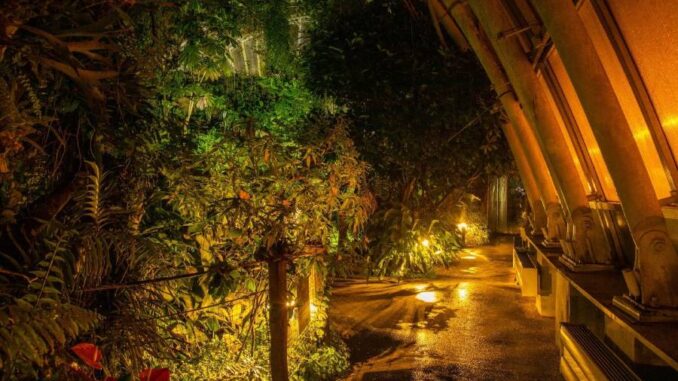 Večerní prohlídky skleníku Fata Morgana. Zdroj: Botanická zahrada hl. m. Prahy