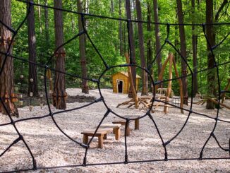 Dětské lesní hřiště Šumperk.